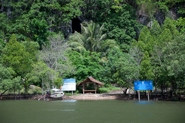 Из мангров можно переправиться на другой берег и полазить по пещерам